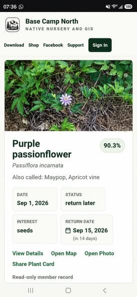 Maypop Seeds (Passiflora incarnata)