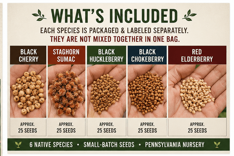 Pennsylvania Native Tree & Shrub Seed Collection